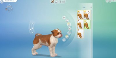 ���� 4 �������