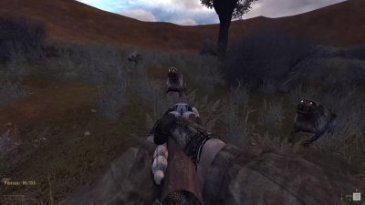 ������� ������ �� �����